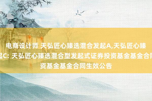 电商设计师 天弘匠心臻选混合发起A,天弘匠心臻选混合发起C: 天弘匠心臻选混合型发起式证券投资基金基金合同生效公告